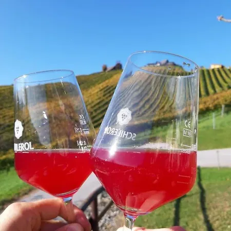 Naturjuwel Inmitten Der Weinberge Sankt Stefan ob Stainz Exterior photo