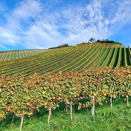 Naturjuwel Inmitten Der Weinberge Sankt Stefan ob Stainz Exterior photo