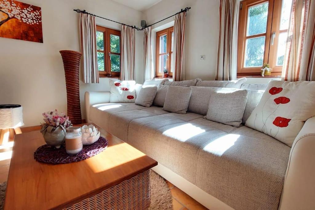 Apartment Naturjuwel Inmitten Der Weinberge Sankt Stefan ob Stainz