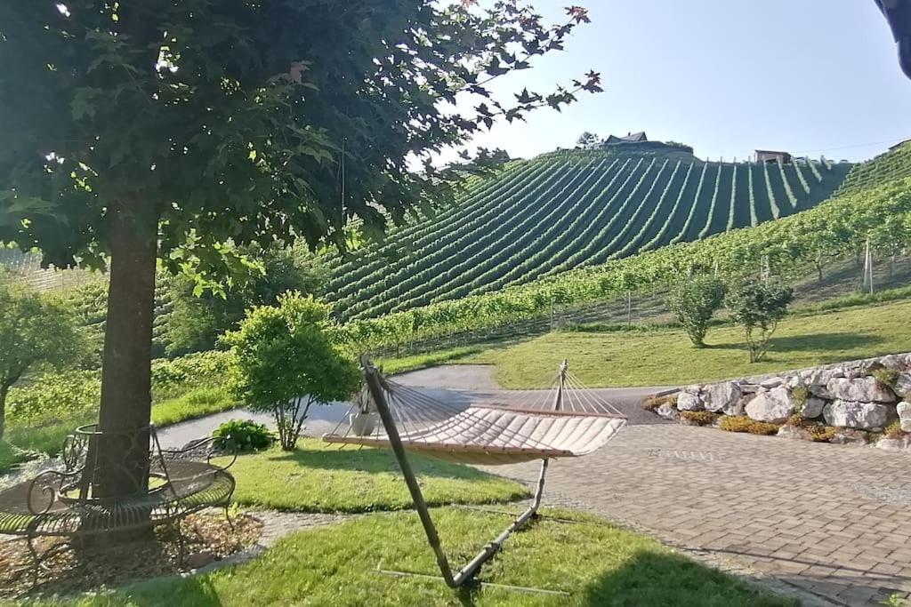 Naturjuwel Inmitten Der Weinberge * Sankt Stefan ob Stainz