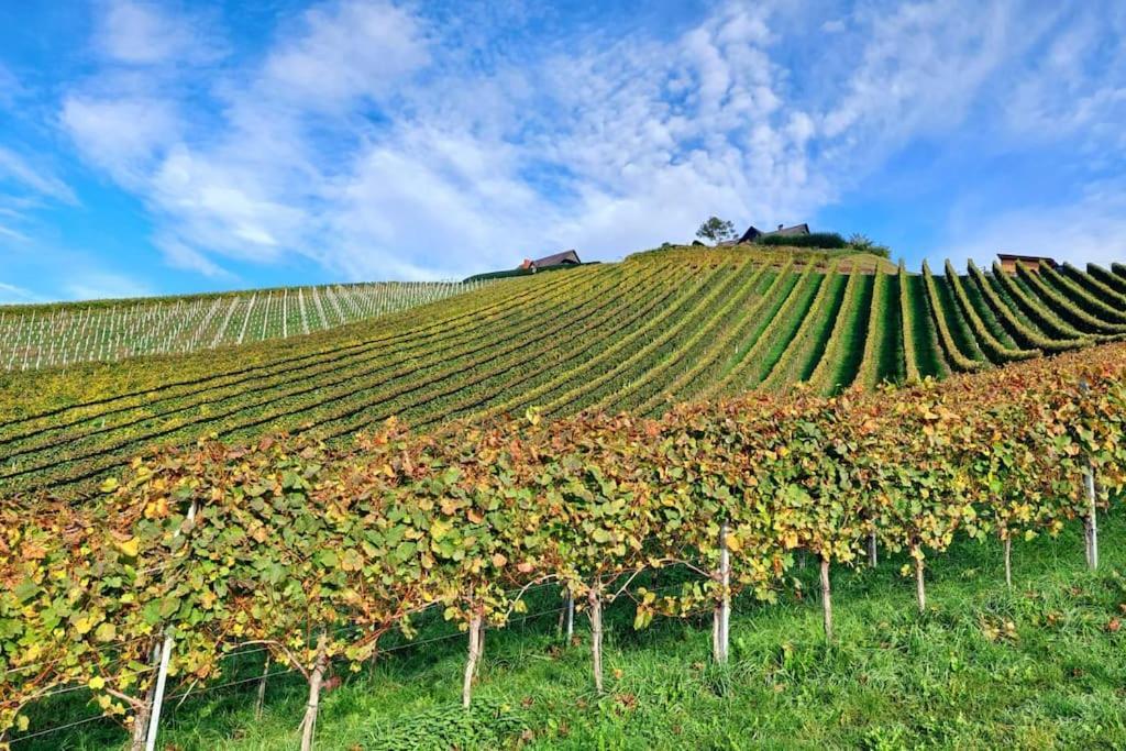 Naturjuwel Inmitten Der Weinberge *